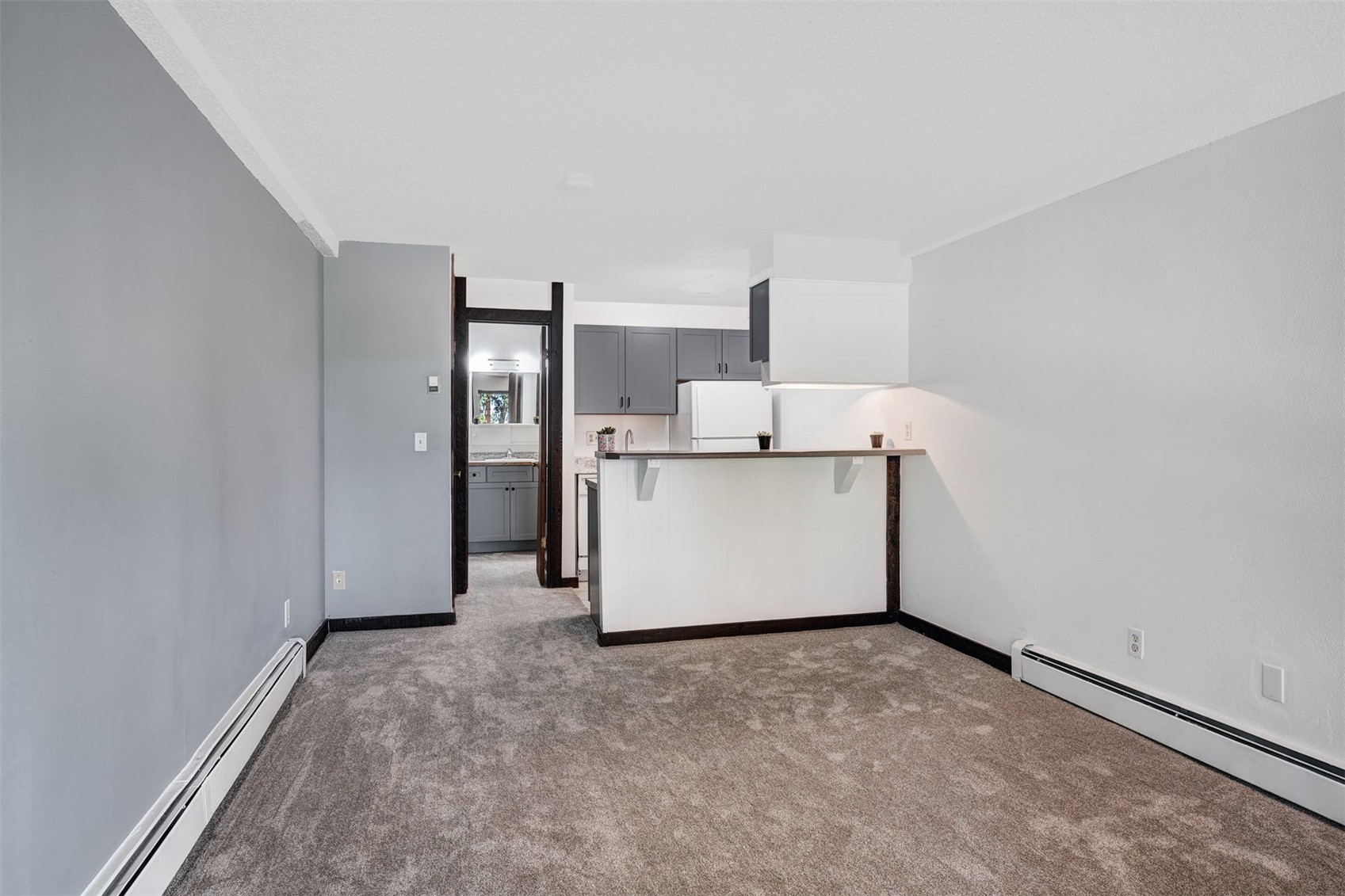 7307 Ryan Gulch Road Silverthorne CO 80498