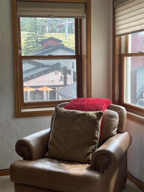 1855 Ski Time Square Drive SE Steamboat Springs CO 80487