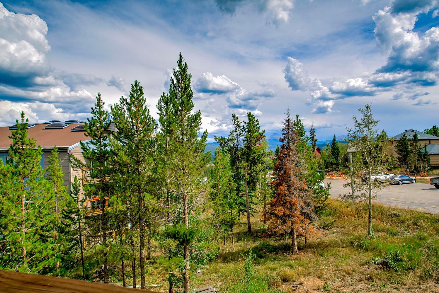 4400 Lodge Pole Circle Silverthorne CO 80498