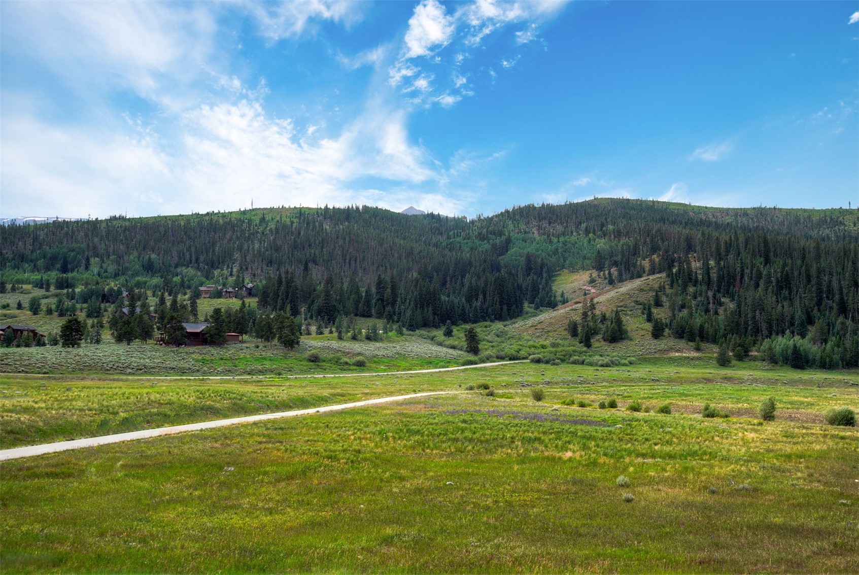 10 Farmers Lane Breckenridge CO 80424