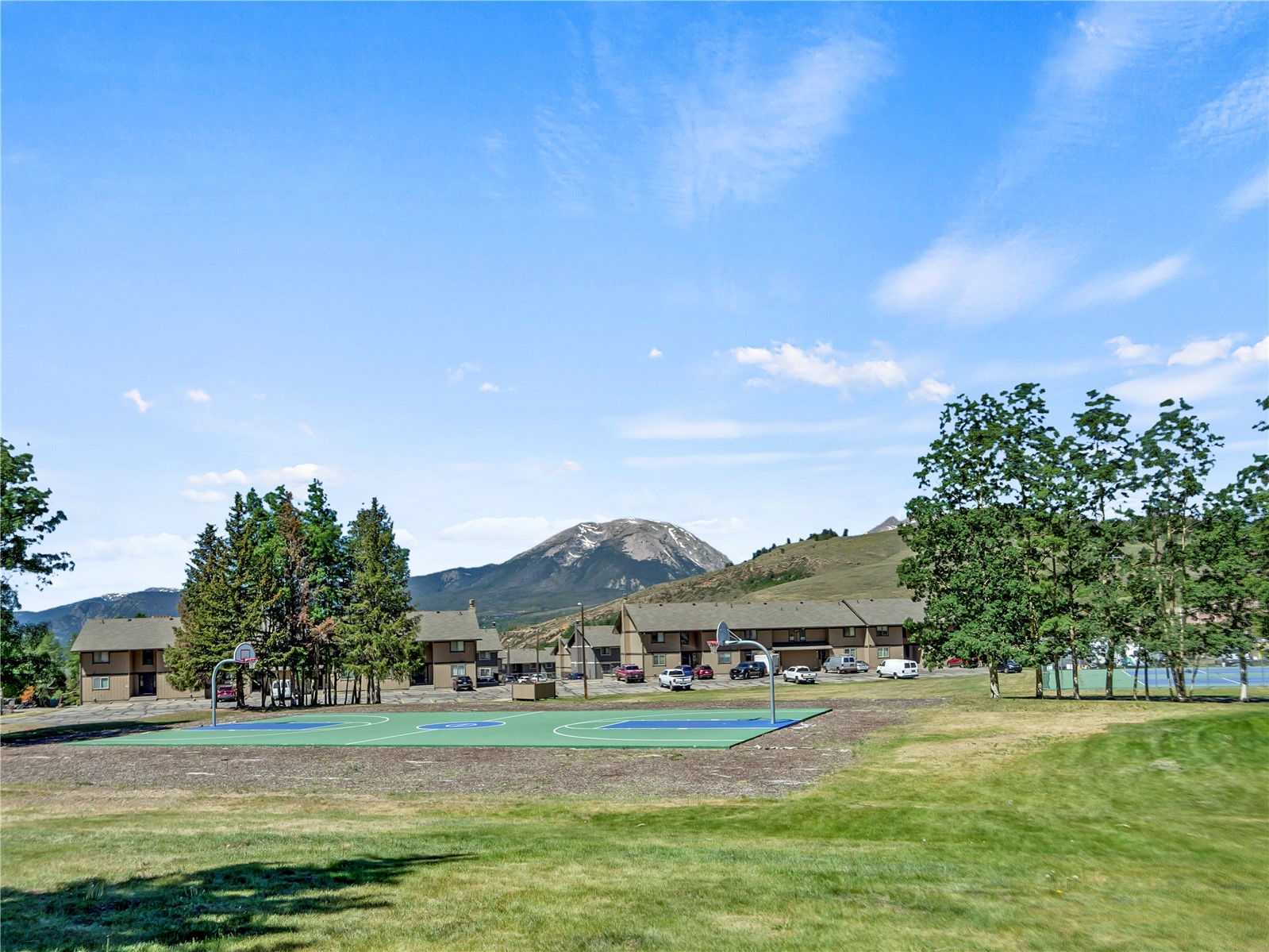 1003 Straight Creek Drive Dillon CO 80435