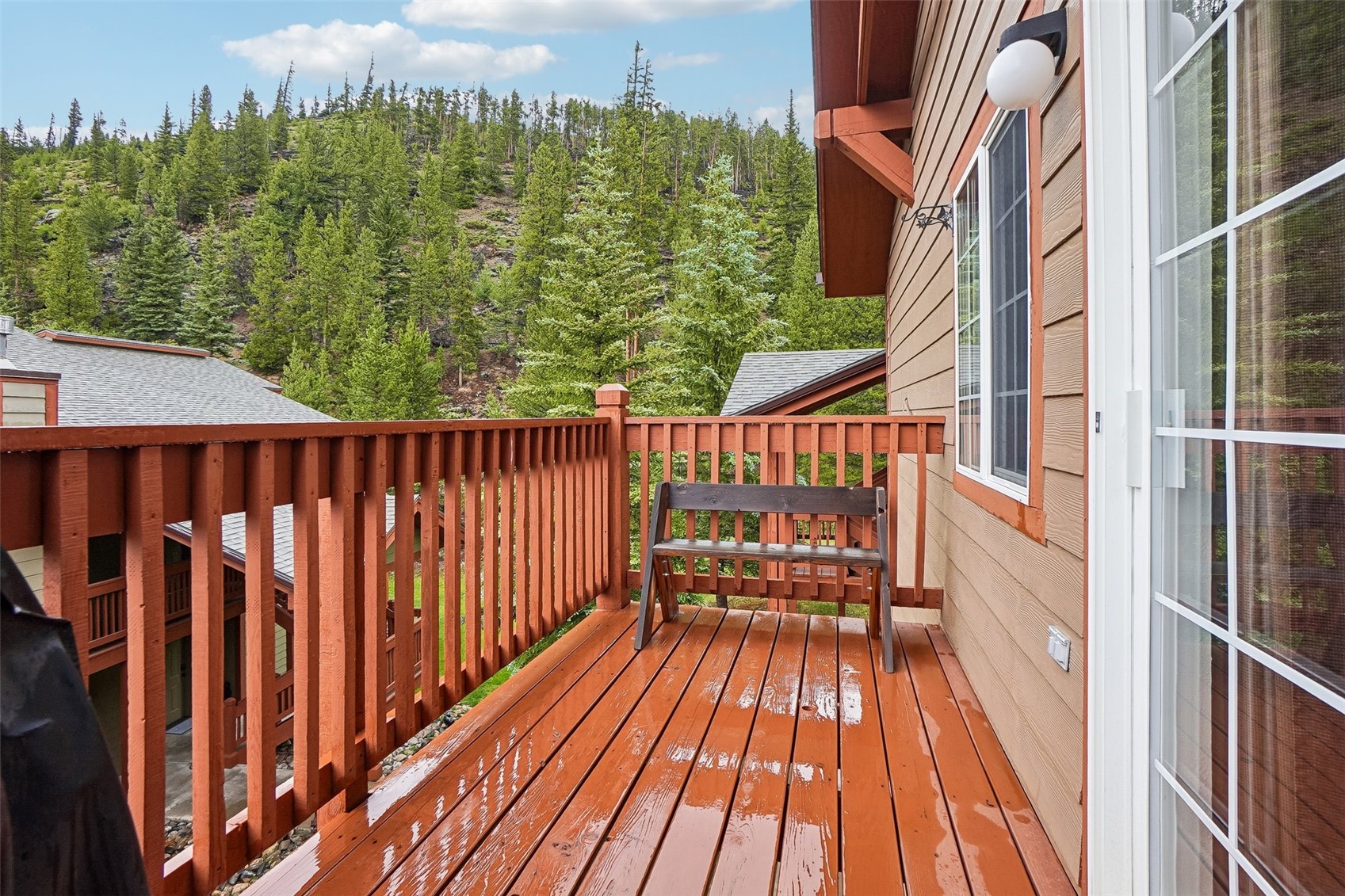 163 Pelican Circle Breckenridge CO 80424