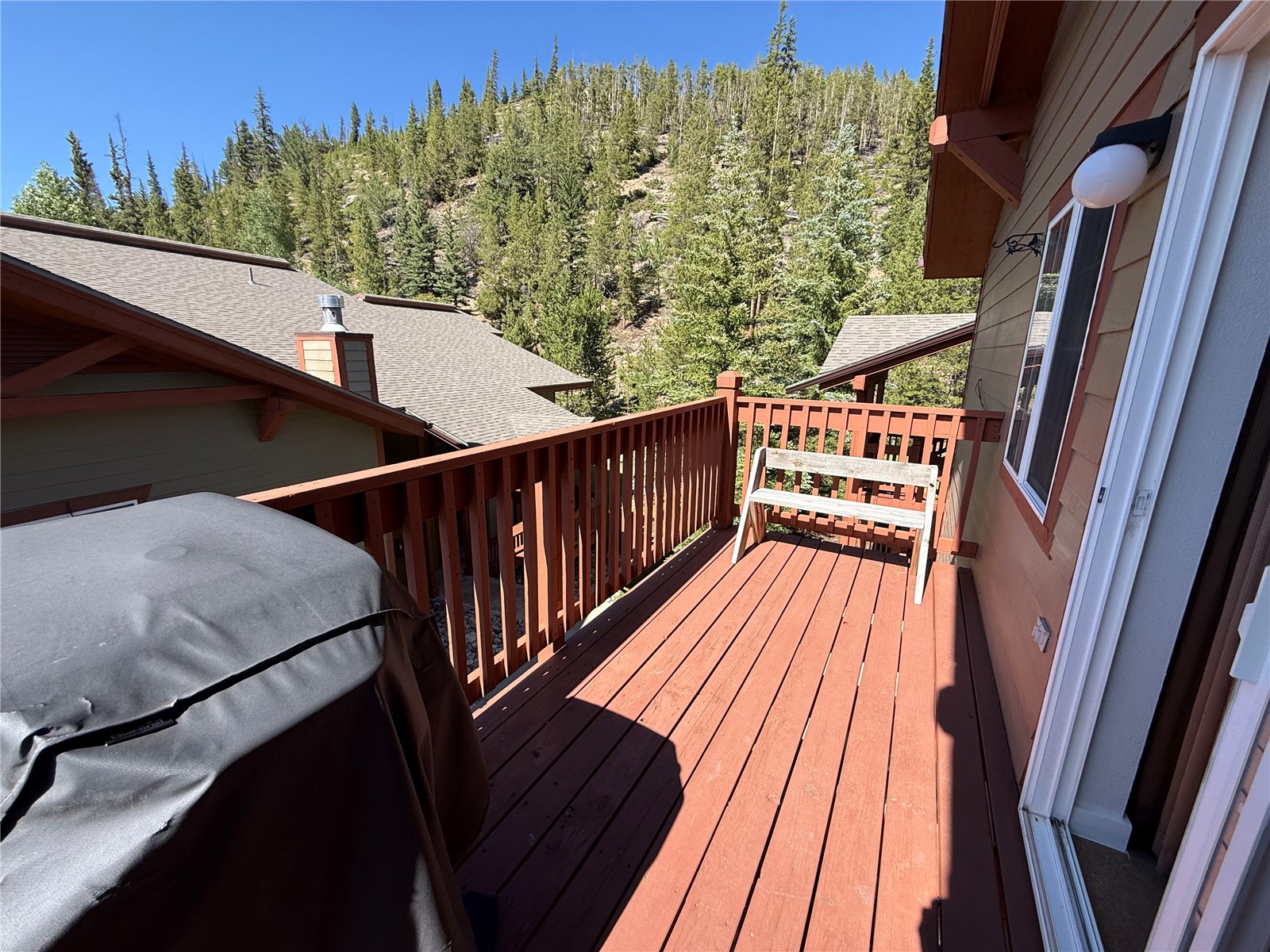 163 Pelican Circle Breckenridge CO 80424