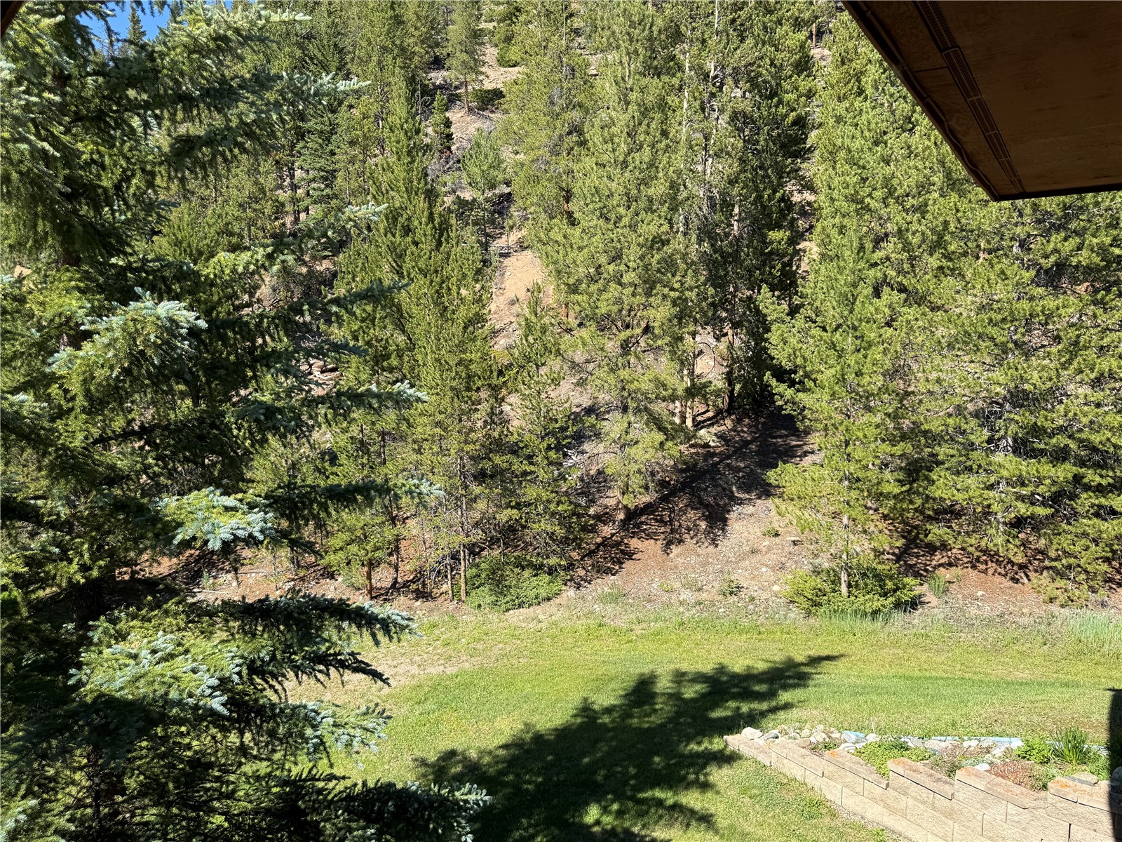 163 Pelican Circle Breckenridge CO 80424