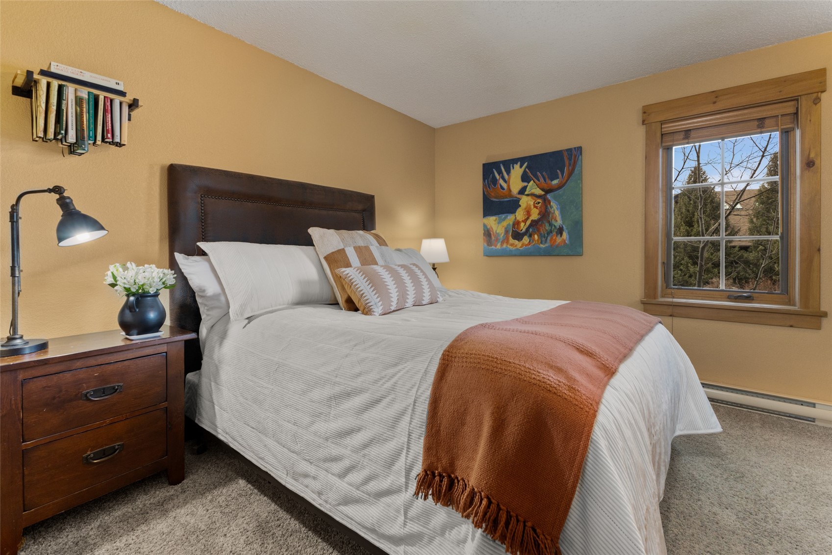2955 Columbine Drive Steamboat Springs CO 80487