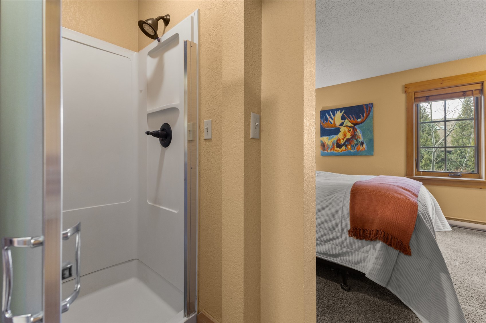2955 Columbine Drive Steamboat Springs CO 80487