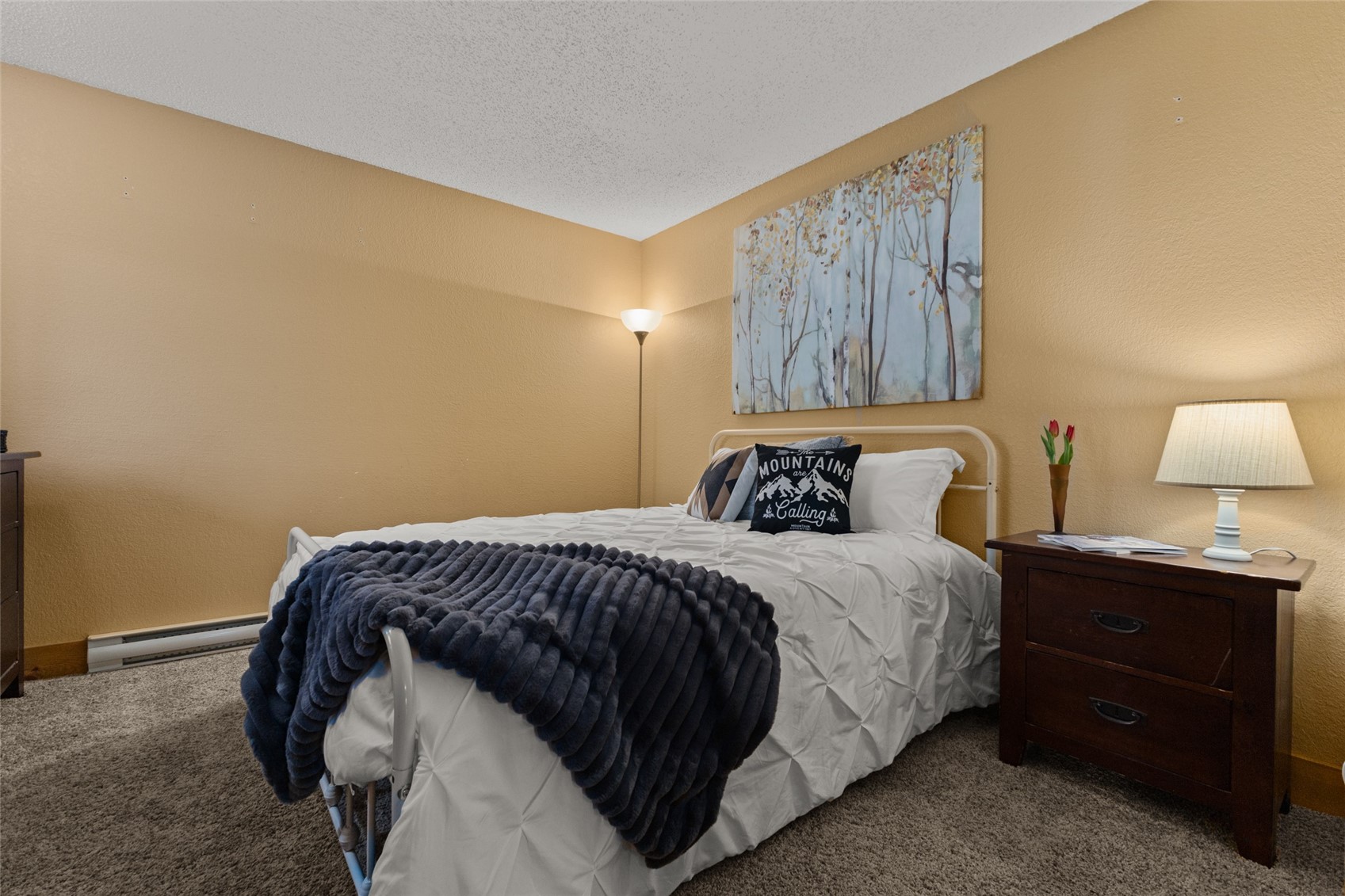 2955 Columbine Drive Steamboat Springs CO 80487
