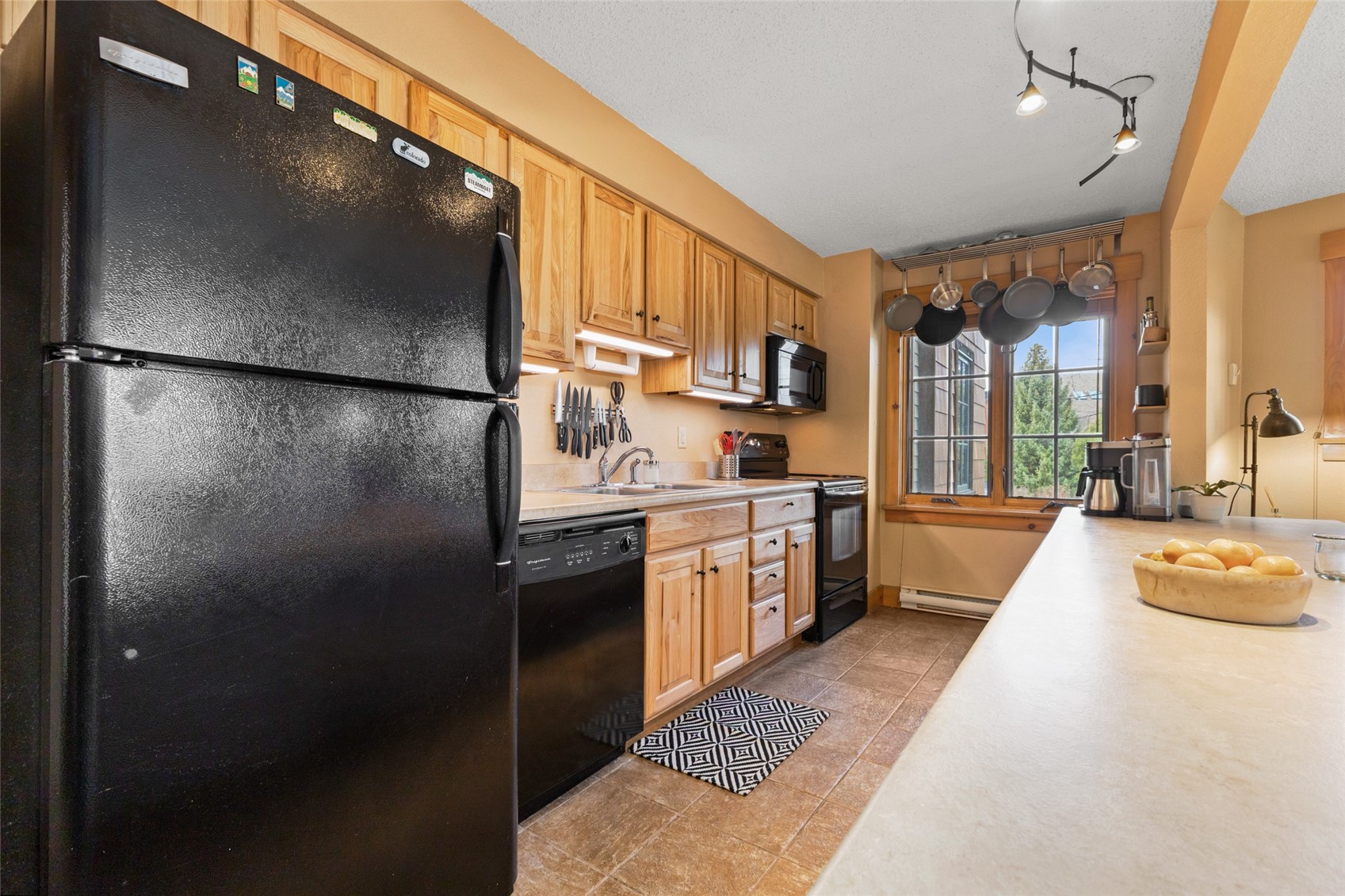 2955 Columbine Drive Steamboat Springs CO 80487
