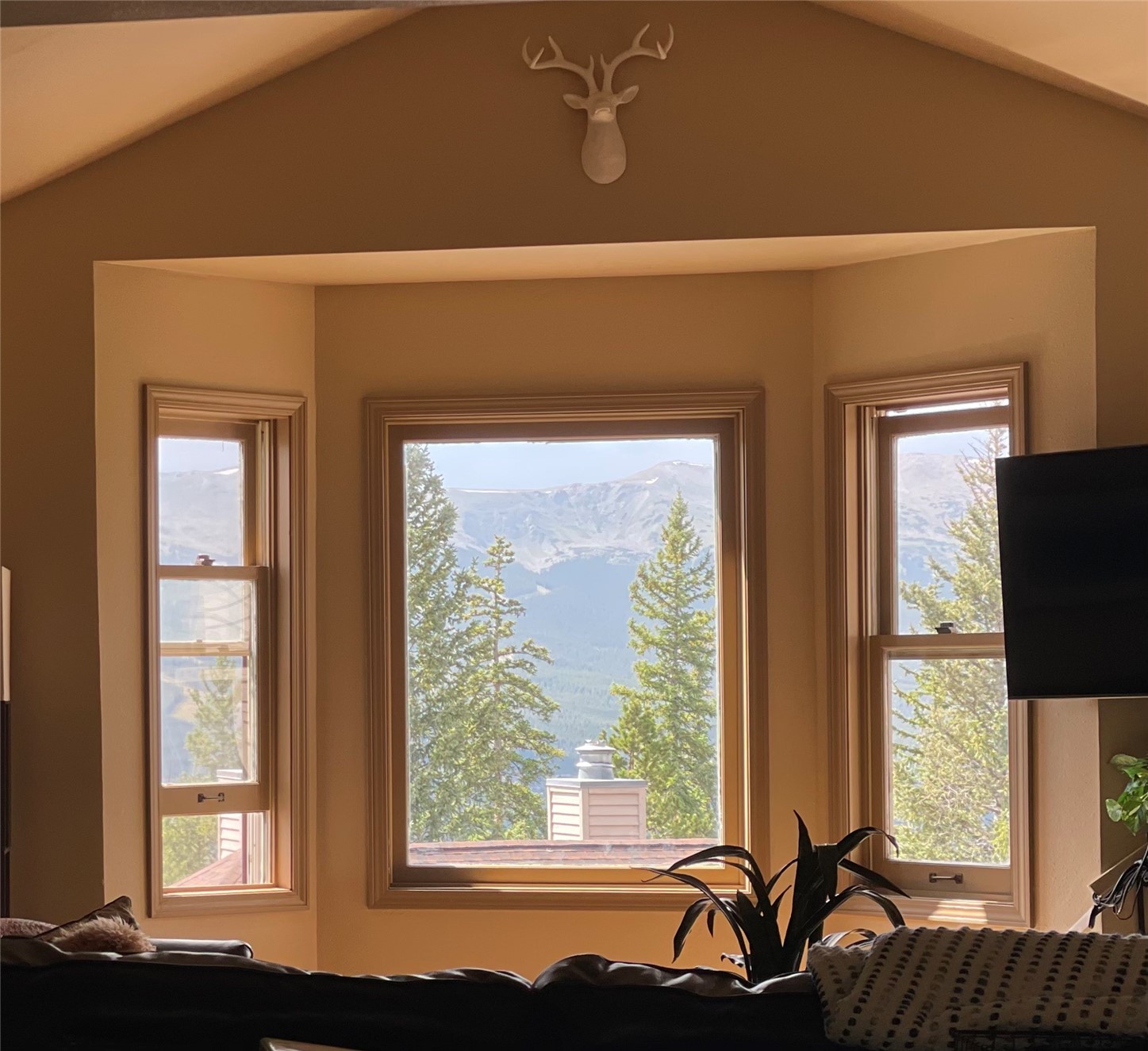 1120 Baldy Road Breckenridge CO 80424