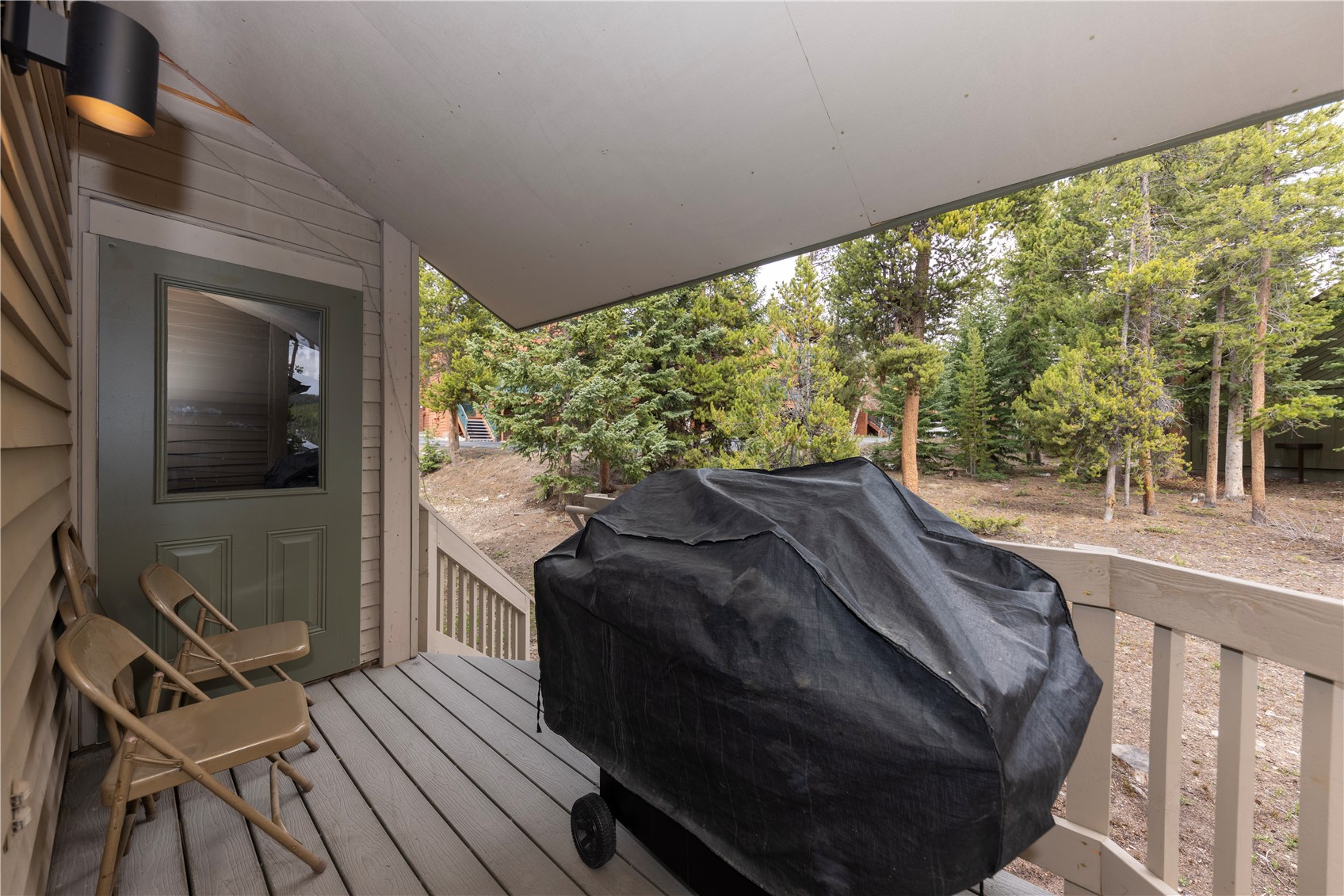 1120 Baldy Road Breckenridge CO 80424