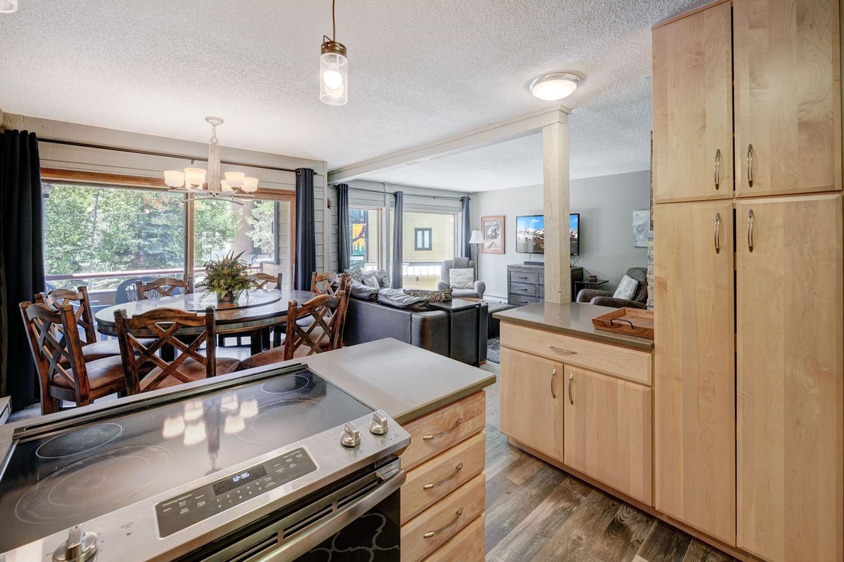 145 Wheeler Place Copper Mountain CO 80443