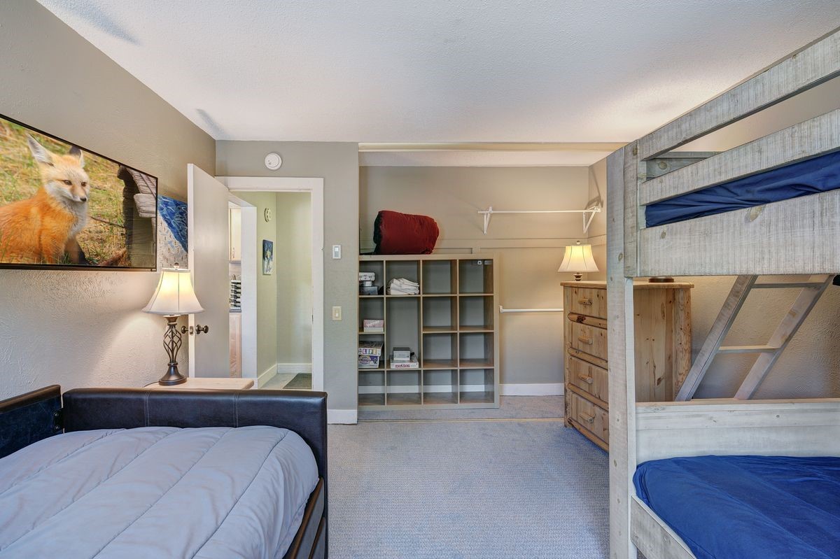 145 Wheeler Place Copper Mountain CO 80443