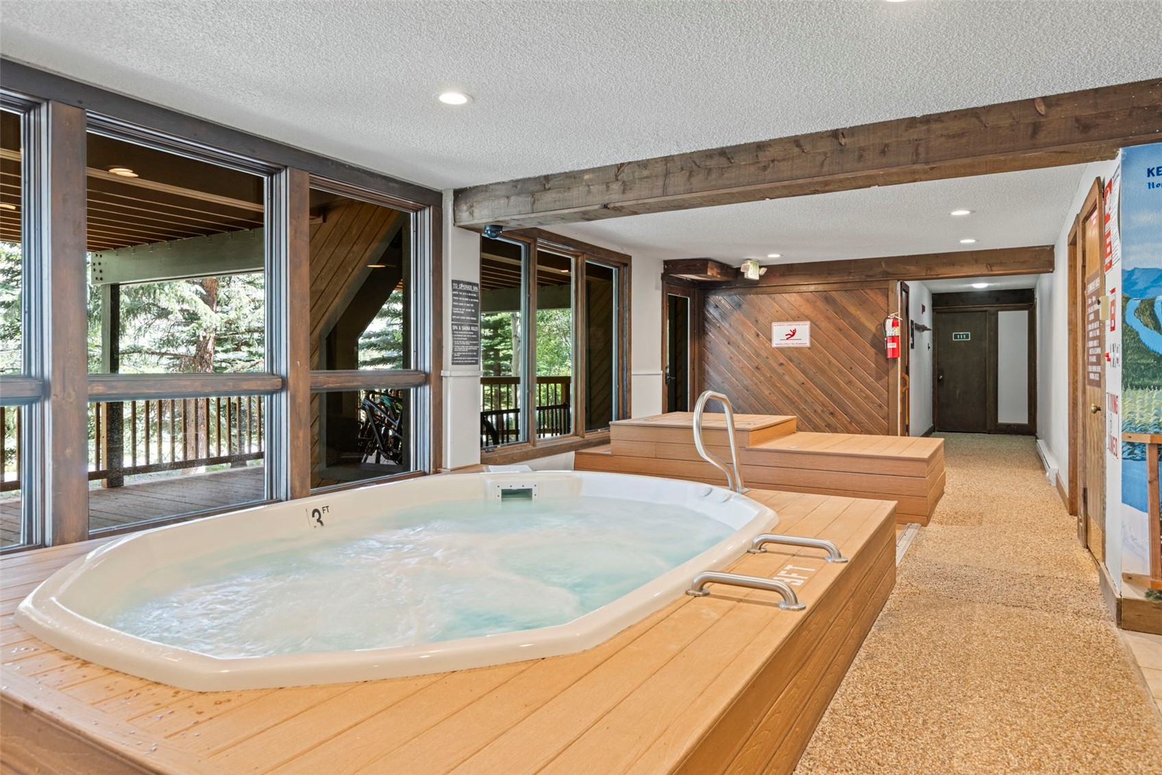 37 Tally Ho Court Dillon CO 80435