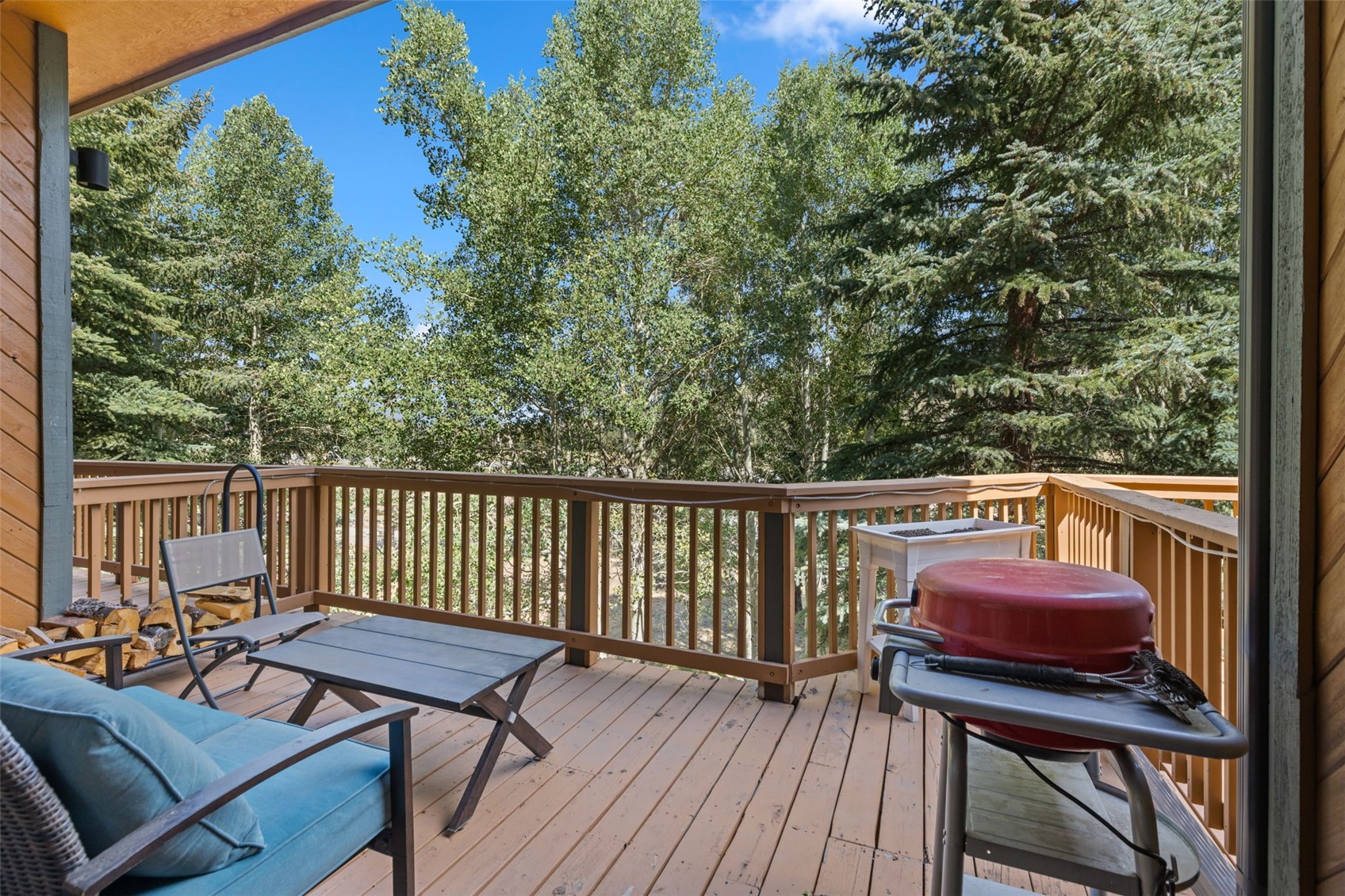 37 Tally Ho Court Dillon CO 80435
