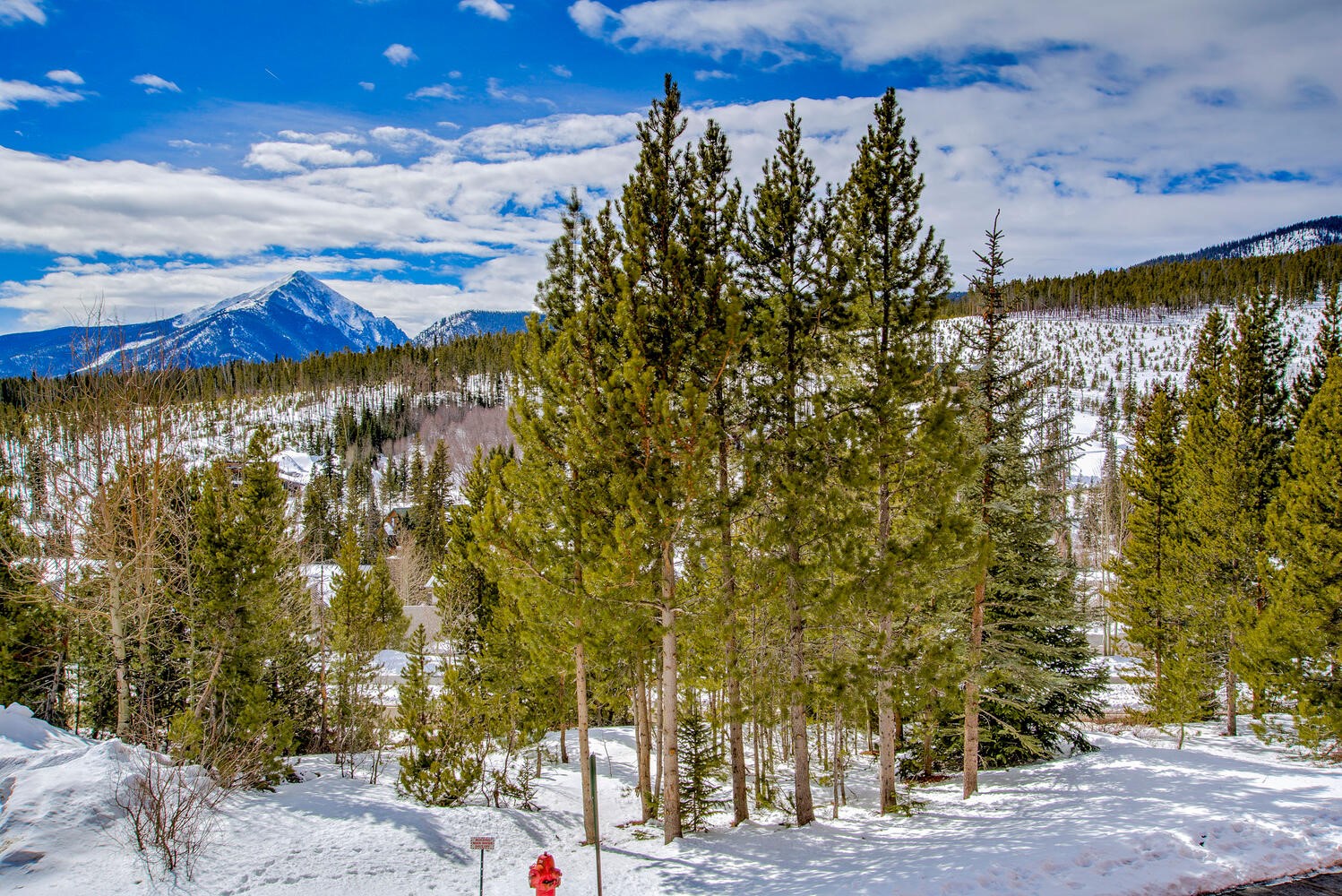 91500 Ryan Gulch Road Silverthorne CO 80498