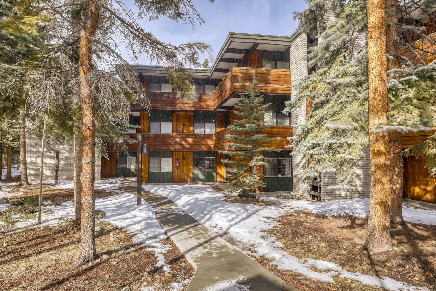 935 Columbine Road Breckenridge CO 80424