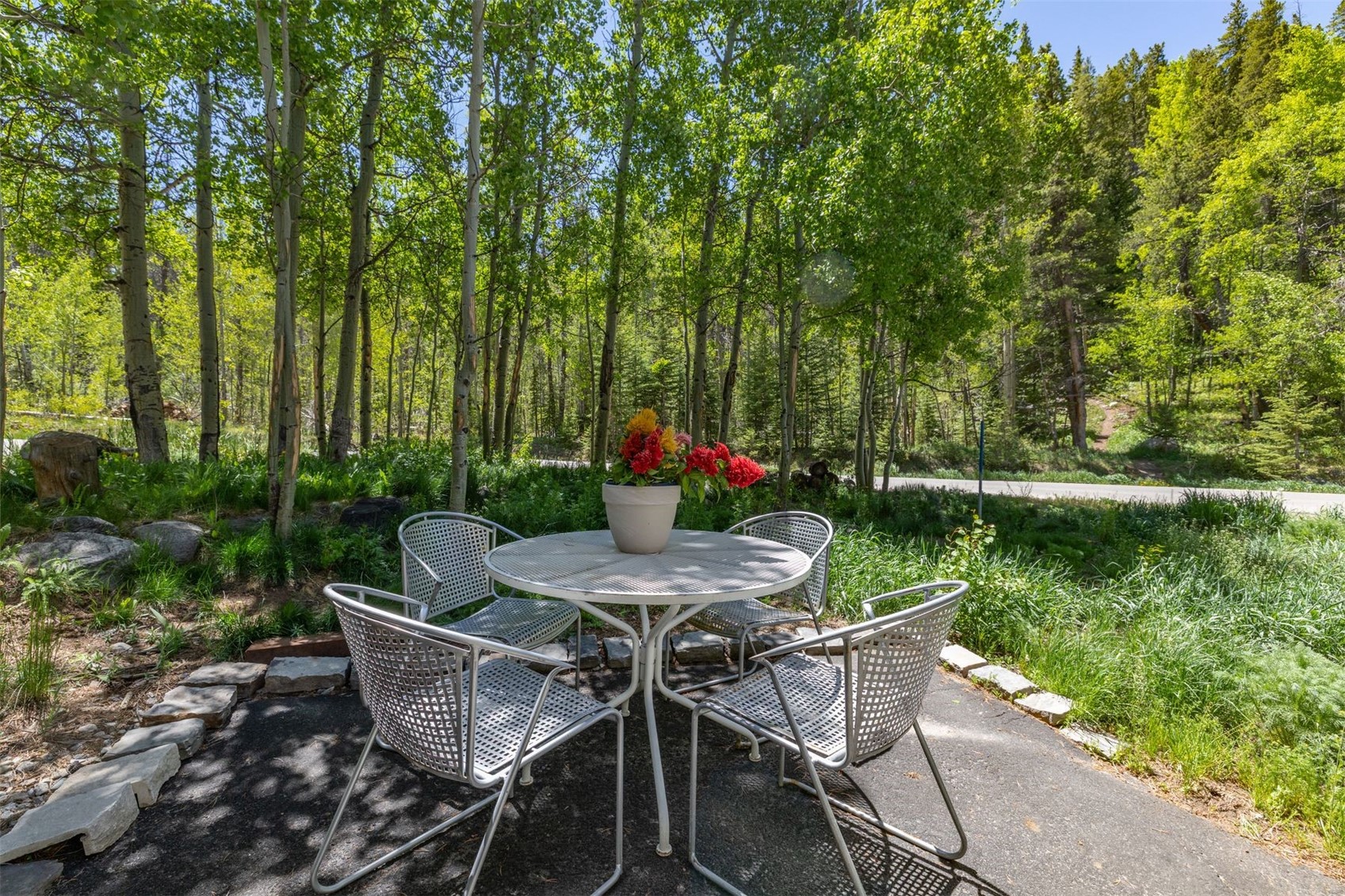 87 Flintstone Lane Breckenridge CO 80424