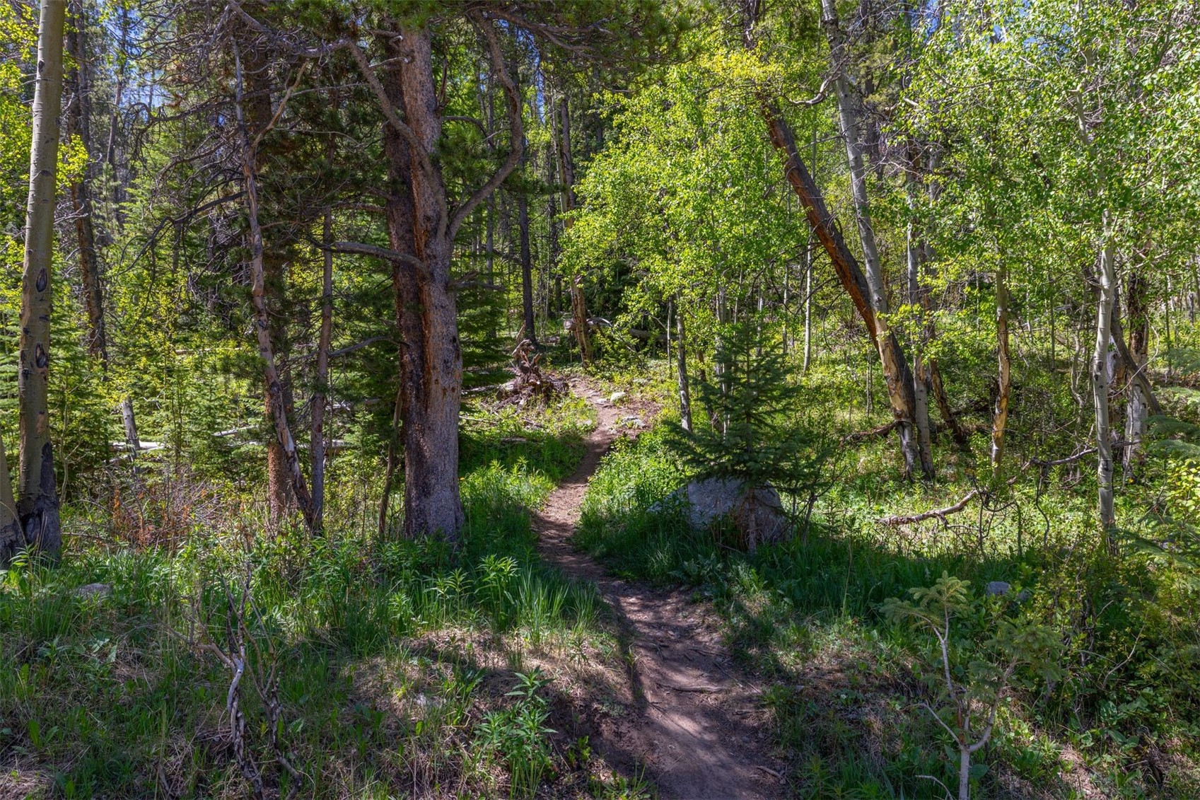 87 Flintstone Lane Breckenridge CO 80424