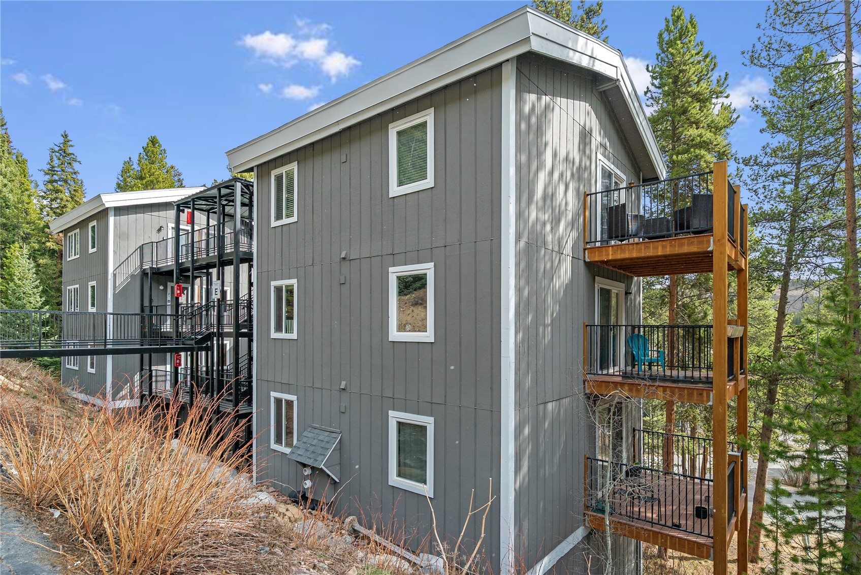 110 Now Colorado Court Breckenridge CO 80424