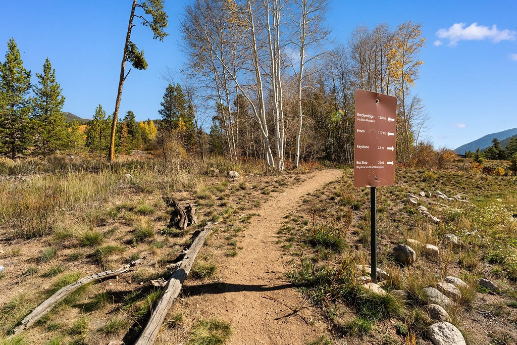 65 Antlers Gulch Road Keystone CO 80435