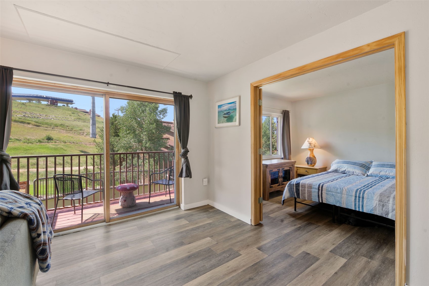 2255 Storm Meadows Drive Steamboat Springs CO 80487