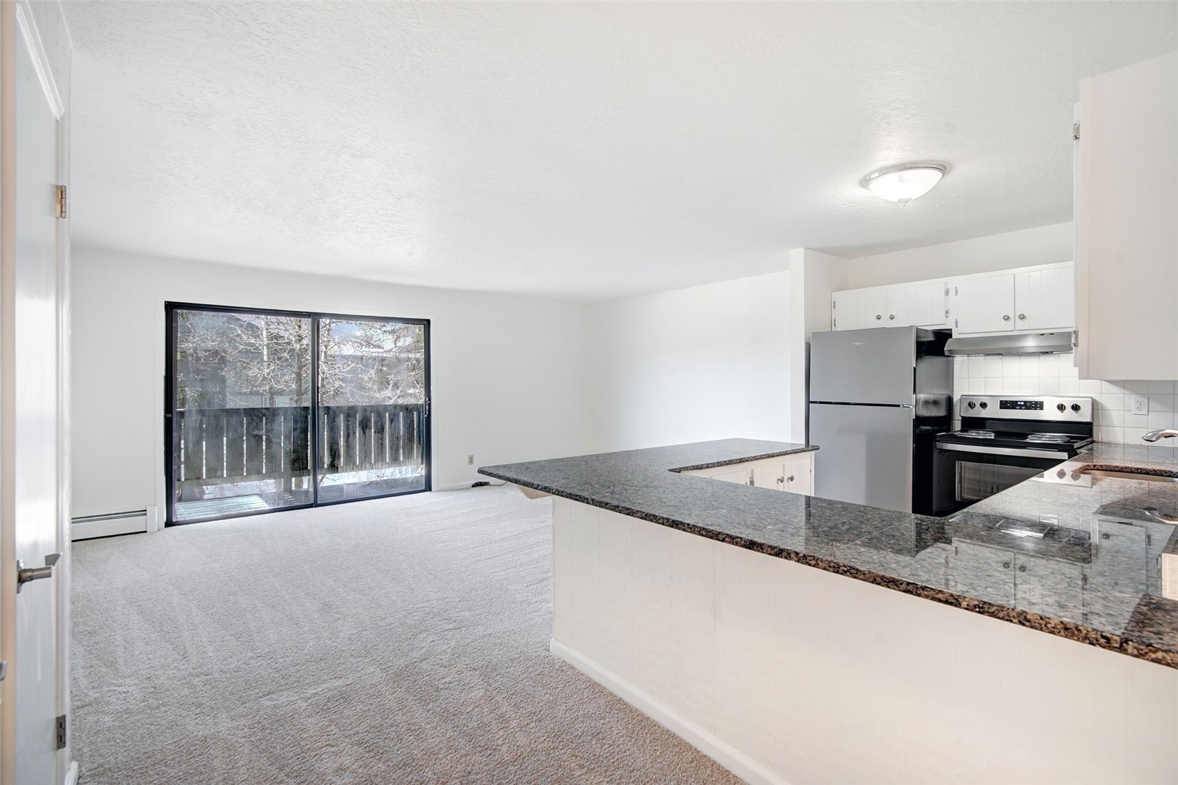 893 Straight Creek Drive Dillon CO 80435