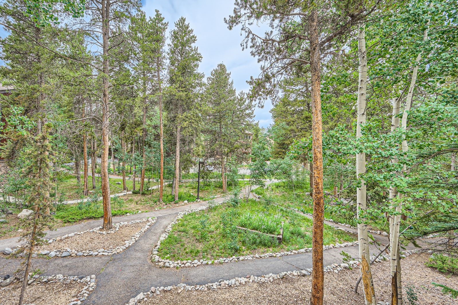 700 Snowberry Lane Breckenridge CO 80424