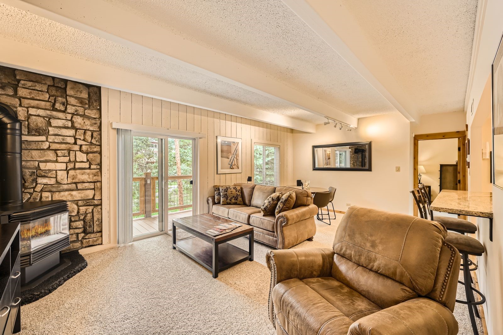 700 Snowberry Lane Breckenridge CO 80424