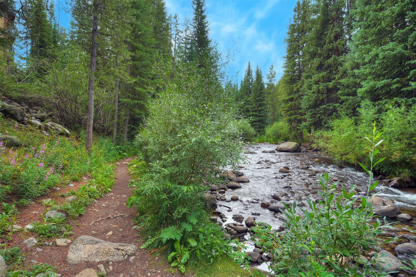 755 Columbine Road Breckenridge CO 80424