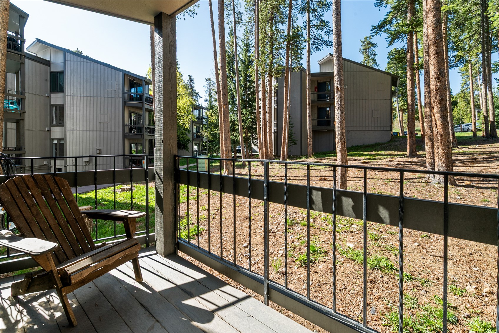 1173 Ski Hill Road Breckenridge CO 80424