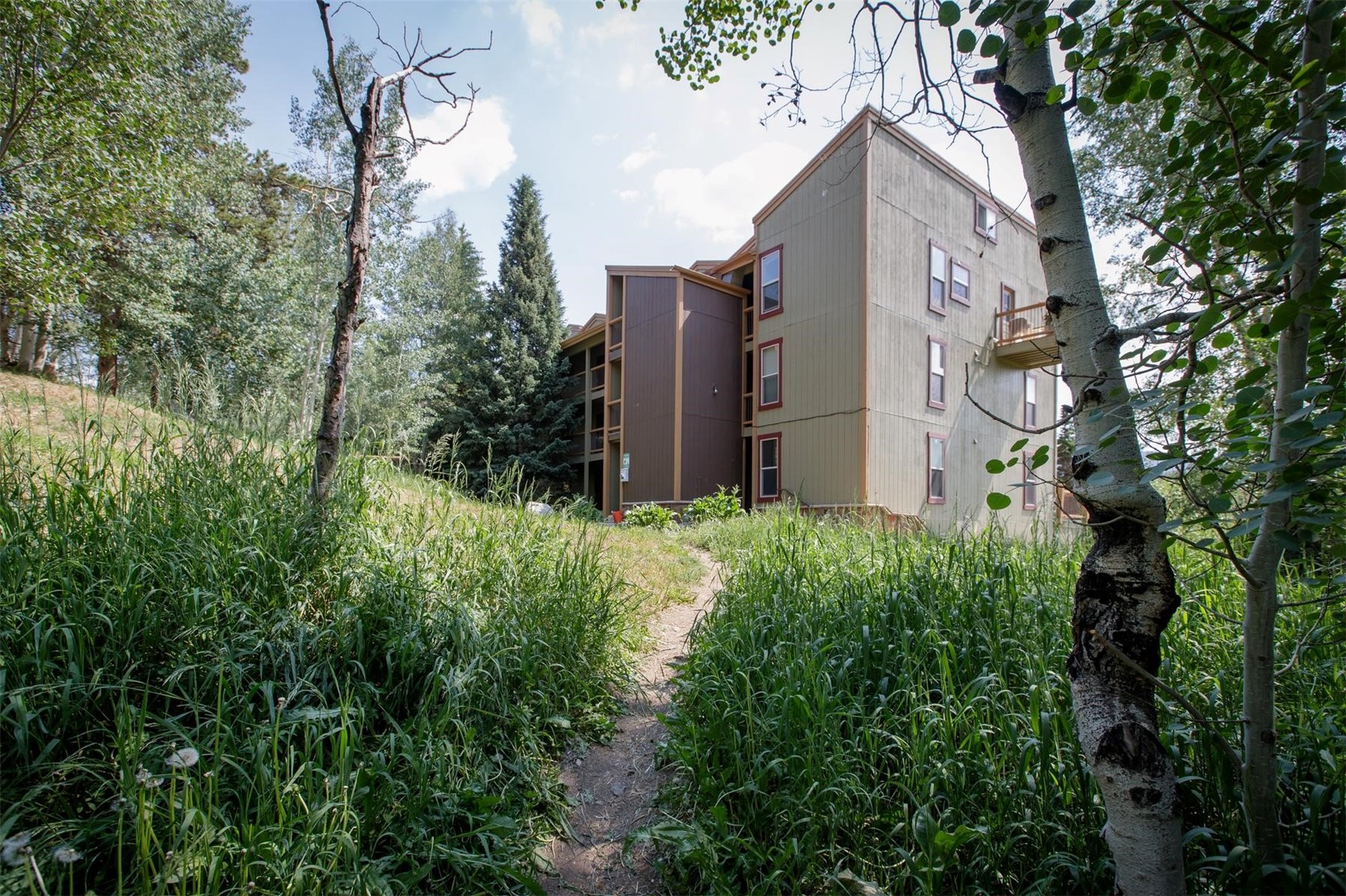 2411 Ryan Gulch Court Silverthorne CO 80498