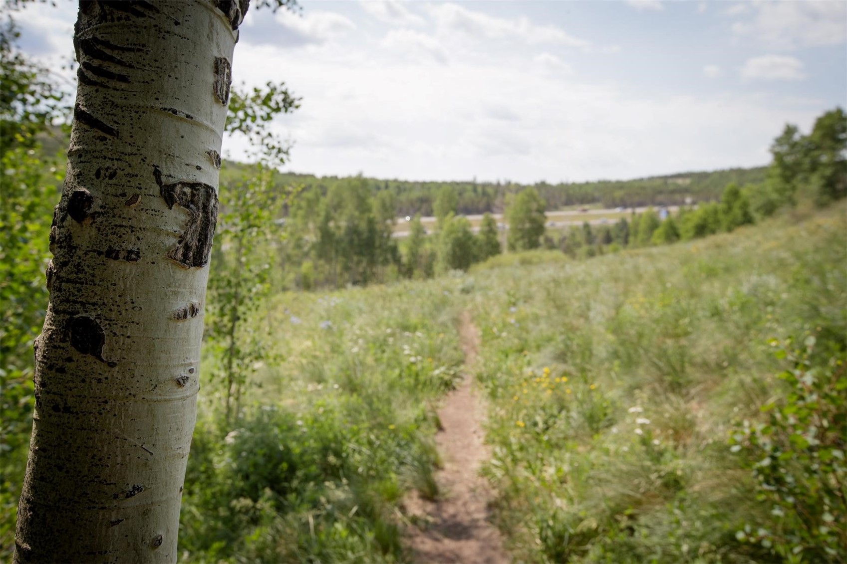 2411 Ryan Gulch Court Silverthorne CO 80498