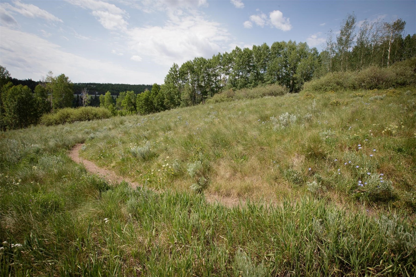 2411 Ryan Gulch Court Silverthorne CO 80498