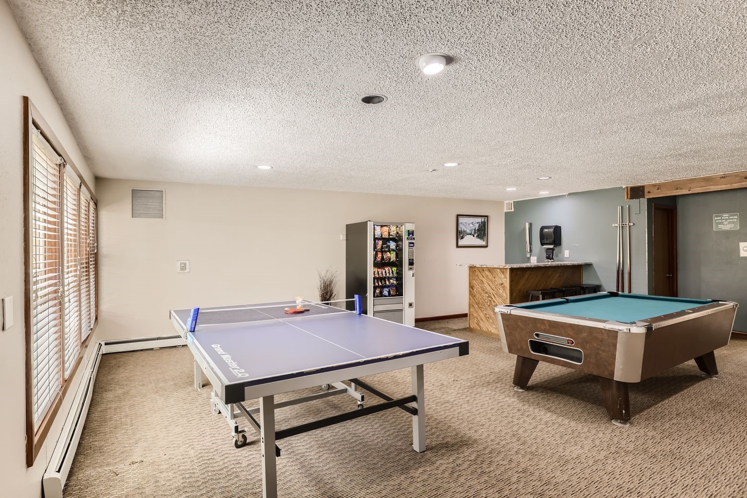89410 Ryan Gulch Road Silverthorne CO 80498