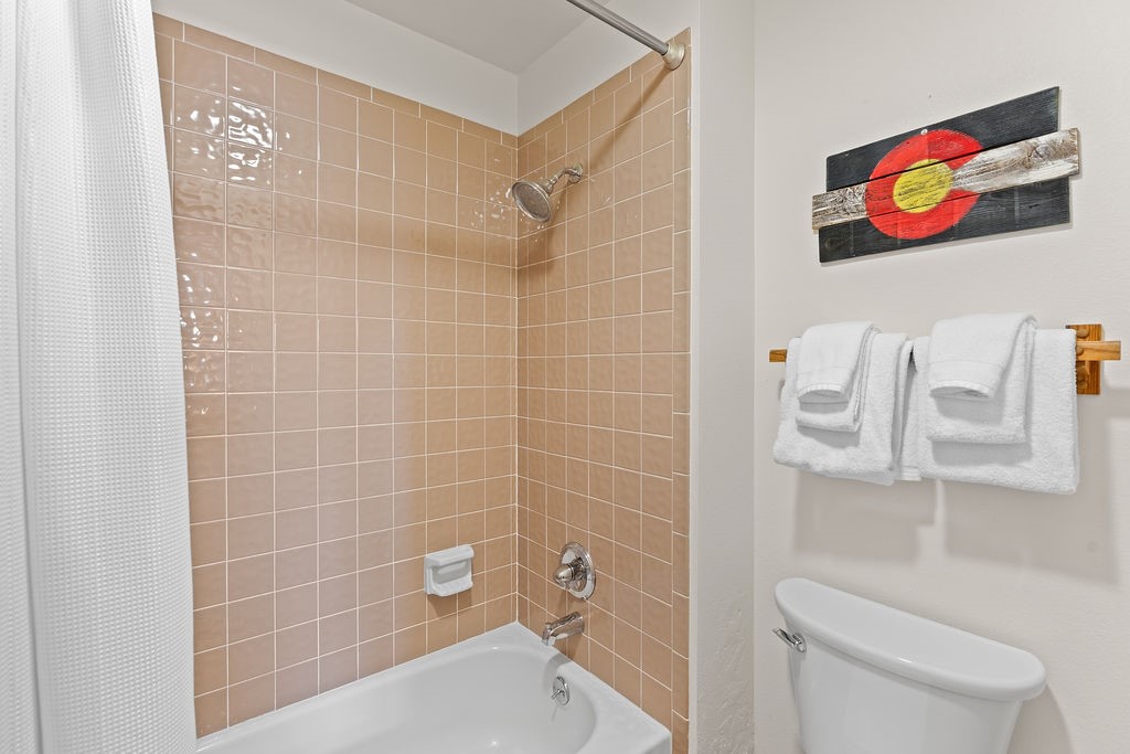 9401 Ryan Gulch Road Silverthorne CO 80498