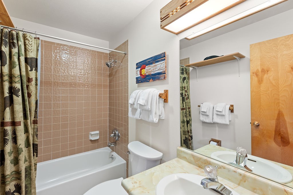 9401 Ryan Gulch Road Silverthorne CO 80498