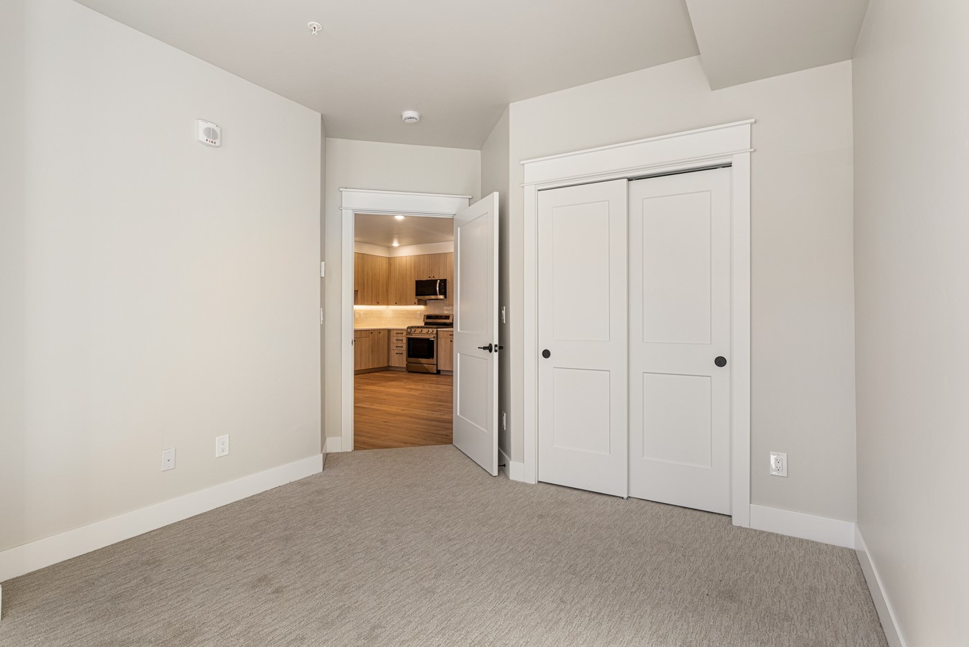 309 Grand Review Drive Leadville CO 80461