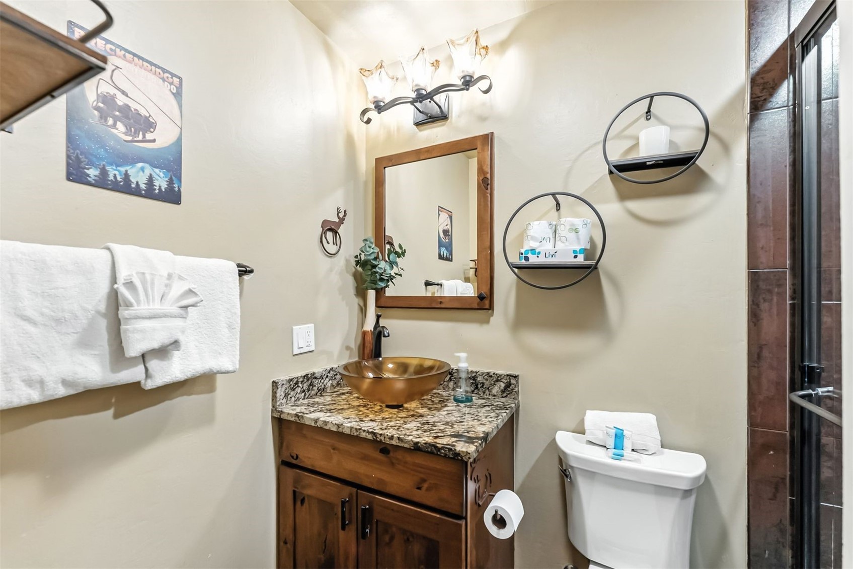 550 S French Street Breckenridge CO 80424