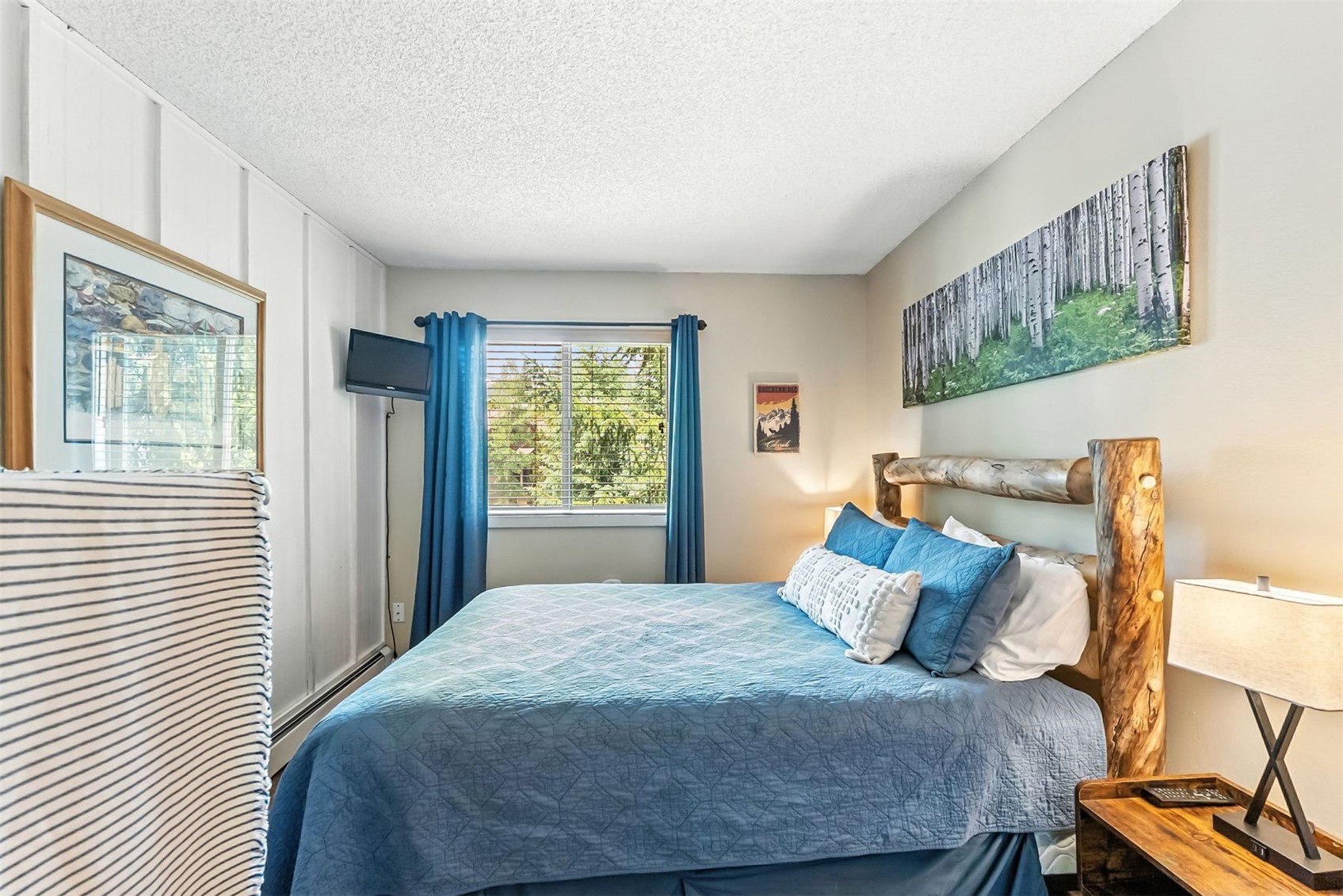 550 S French Street Breckenridge CO 80424