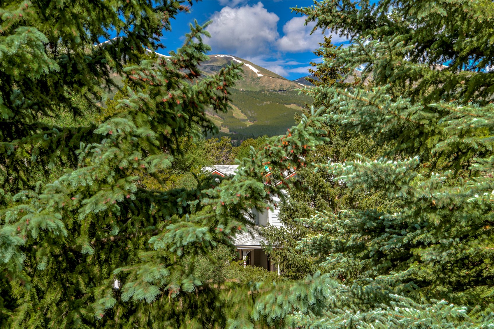 304 S High Street Breckenridge CO 80424
