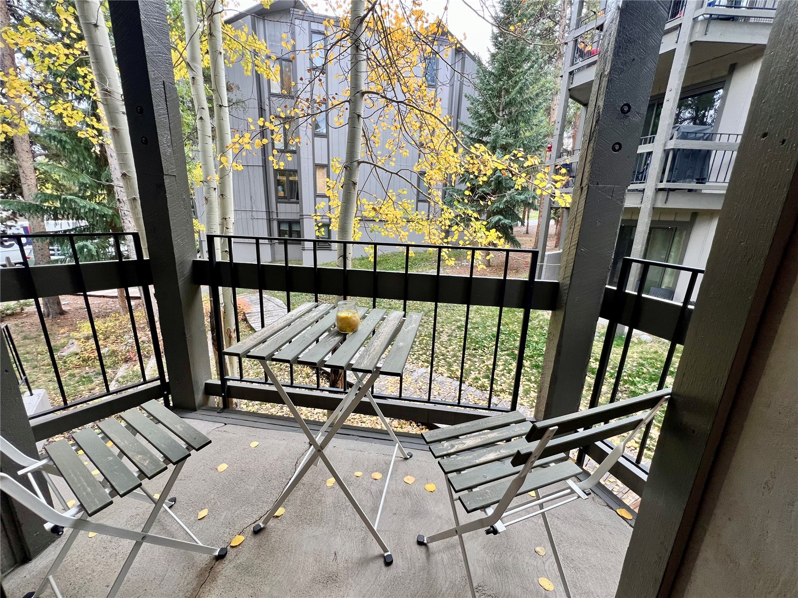 1115 Ski Hill Road Breckenridge CO 80424