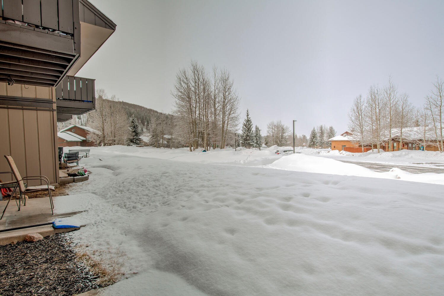 1133 Straight Creek Drive Dillon CO 80435