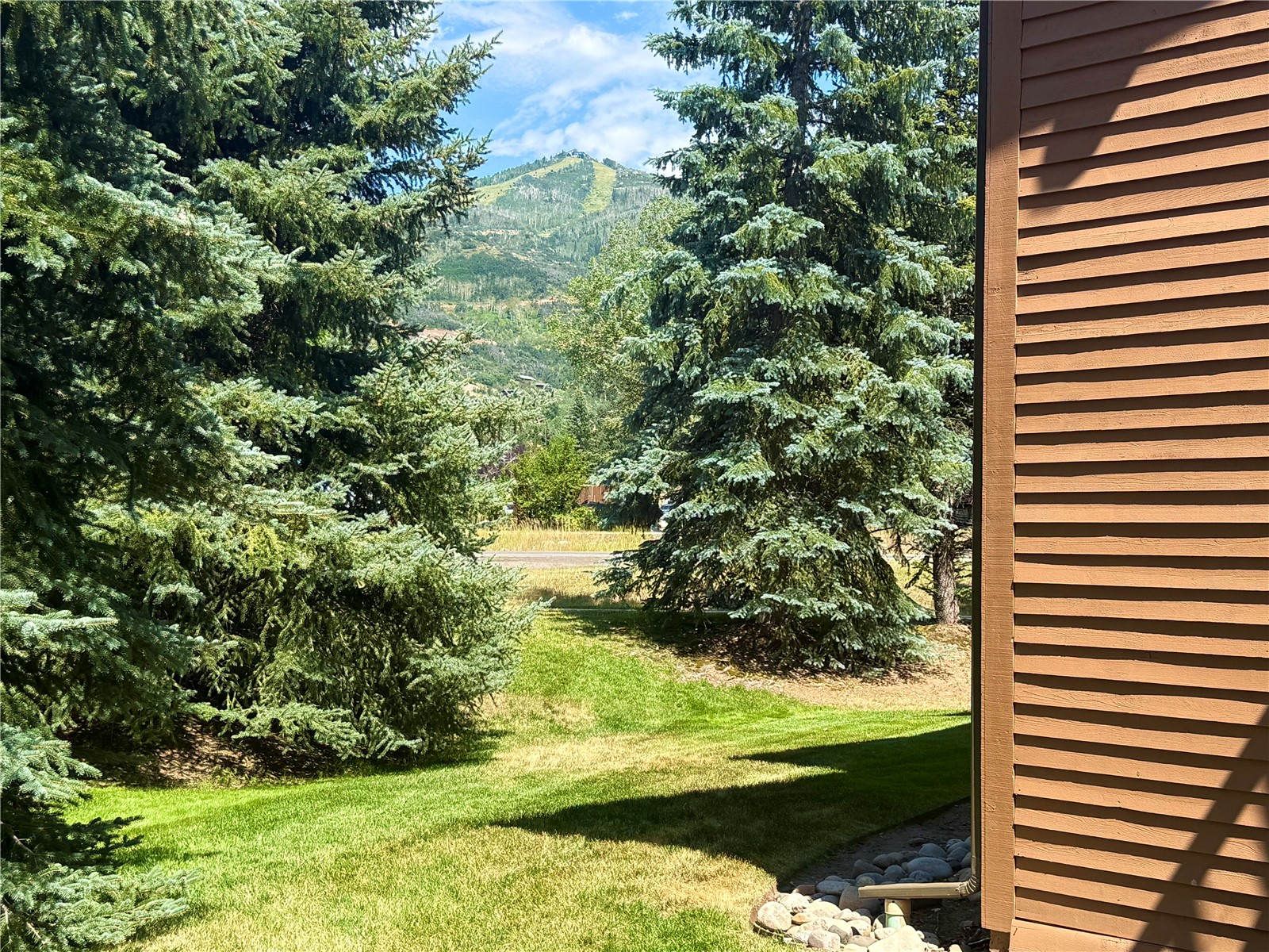 1454 Morgan Court Steamboat Springs CO 80487