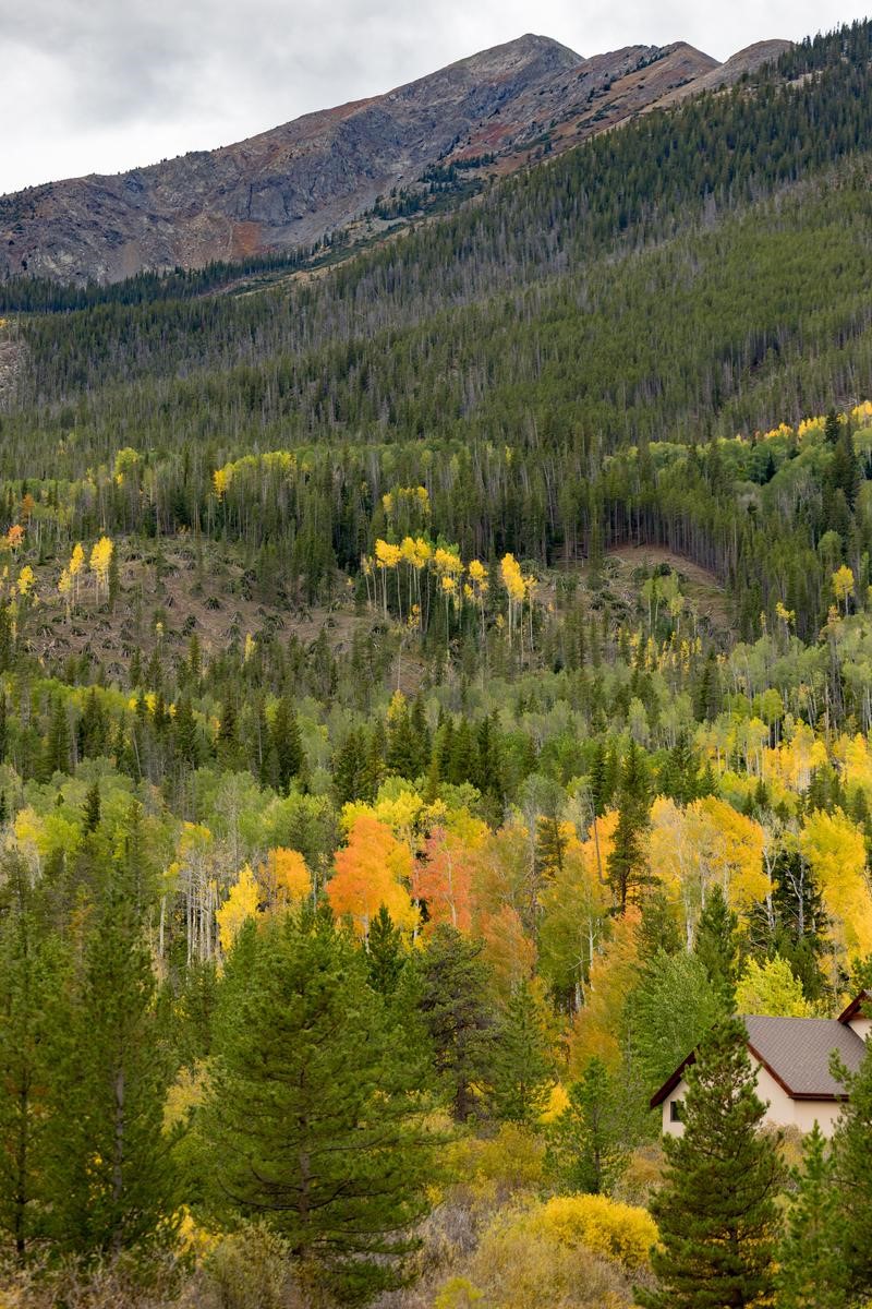 500 Bills Ranch Road Frisco CO 80443
