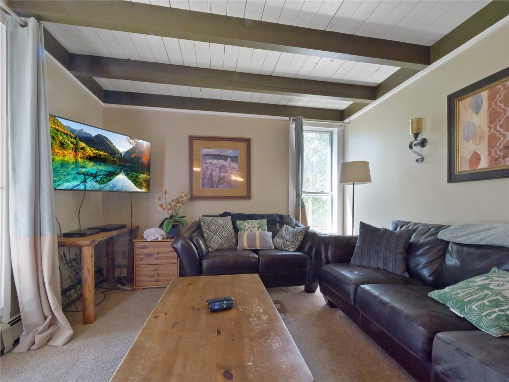 2300 Lodge Pole Circle Silverthorne CO 80498