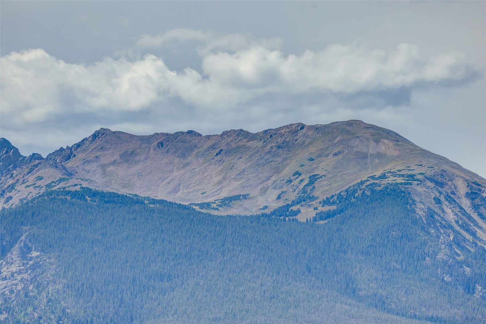 716 E Anemone Trail Dillon CO 80435