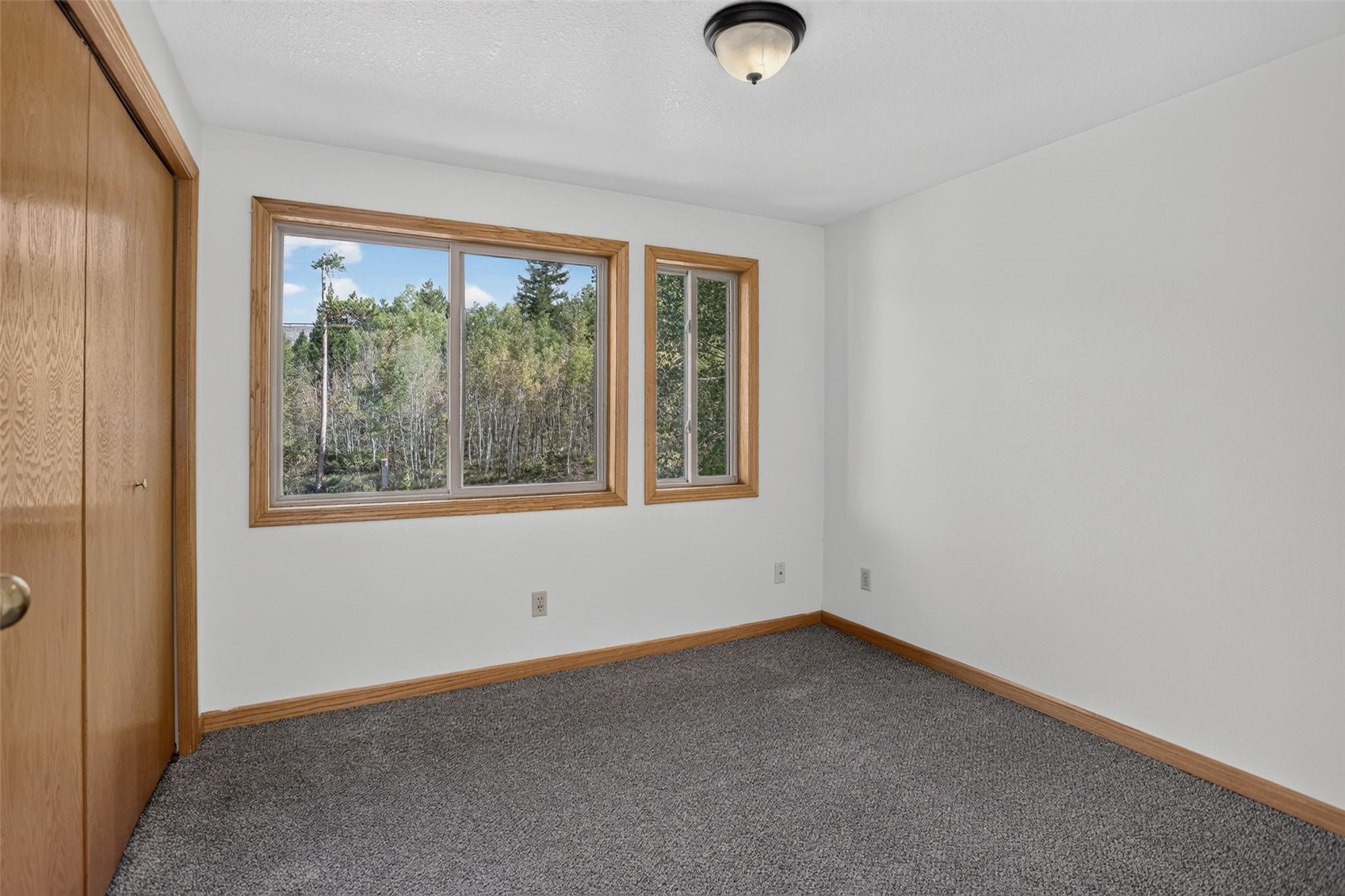 716 E Anemone Trail Dillon CO 80435