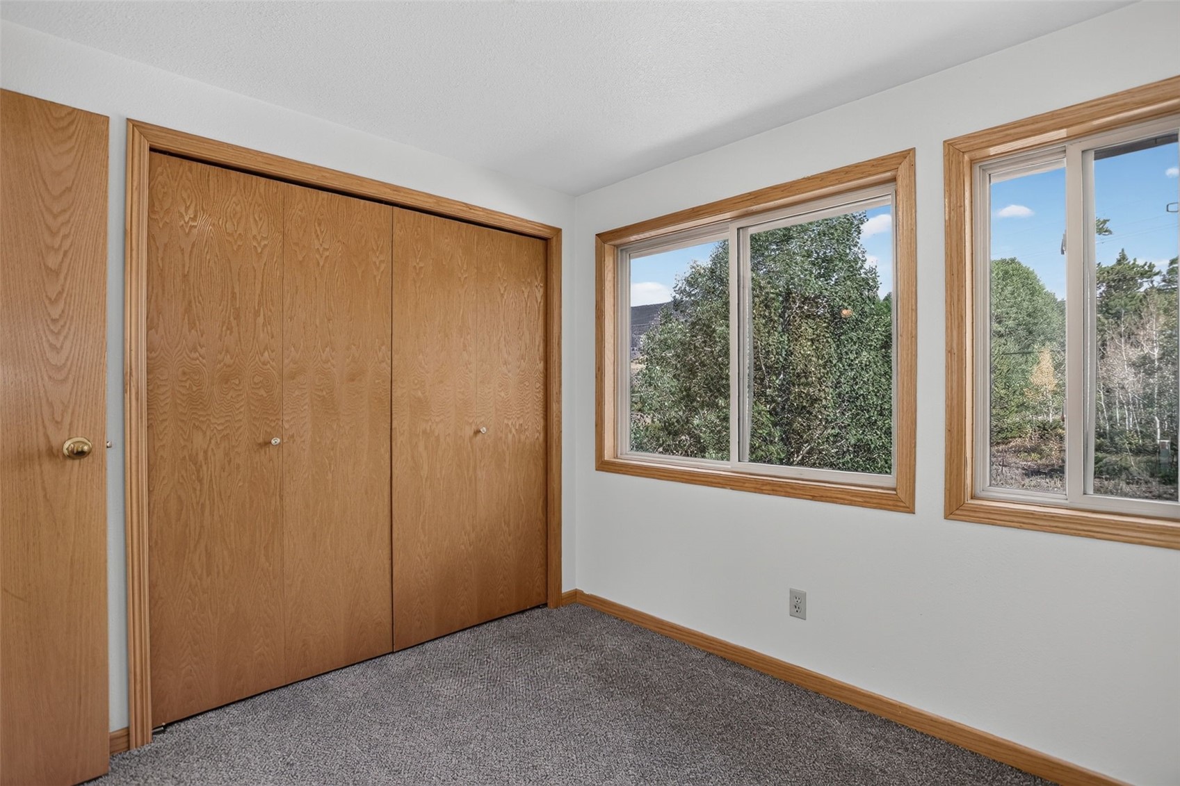 716 E Anemone Trail Dillon CO 80435