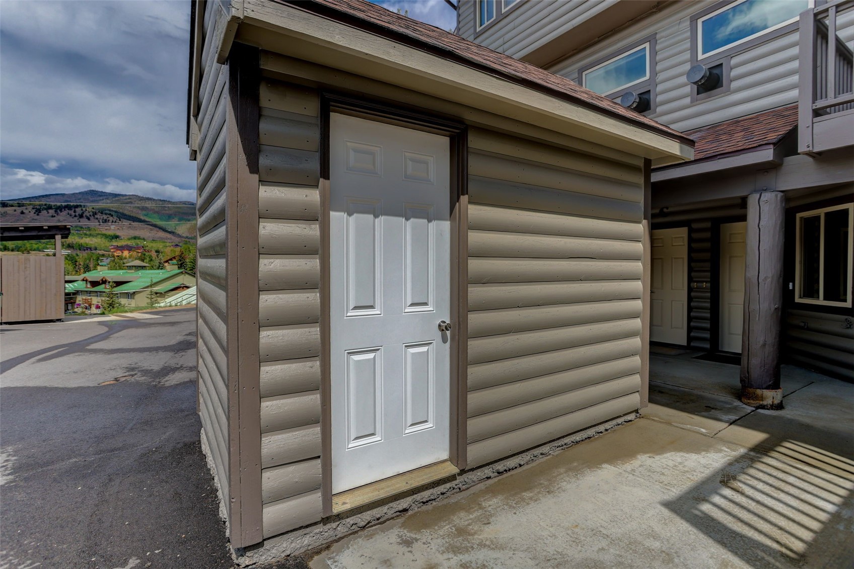 716 E Anemone Trail Dillon CO 80435