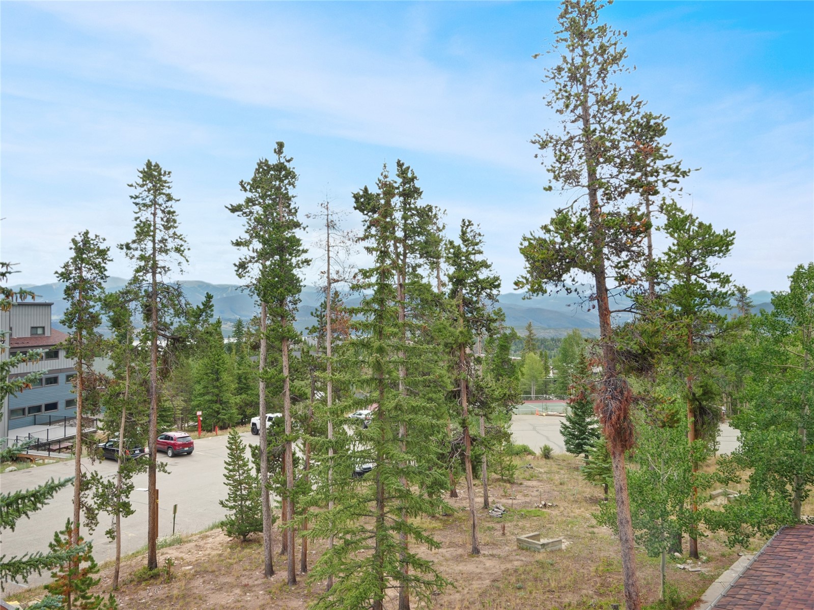 89100 Ryan Gulch Road Silverthorne CO 80498